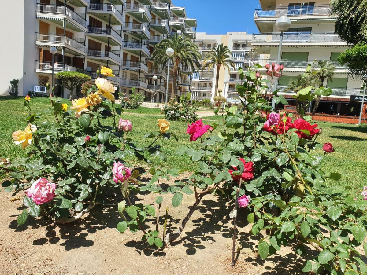شقة سالو  في Apartamento Kristina المظهر الخارجي الصورة